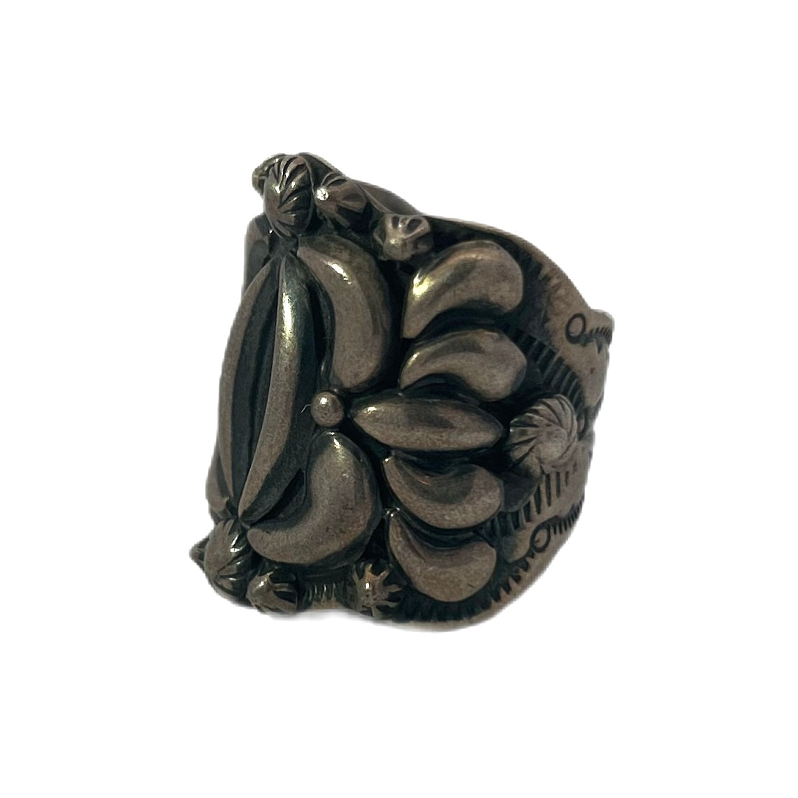 Darryl Becenti Sterling Silver Ring