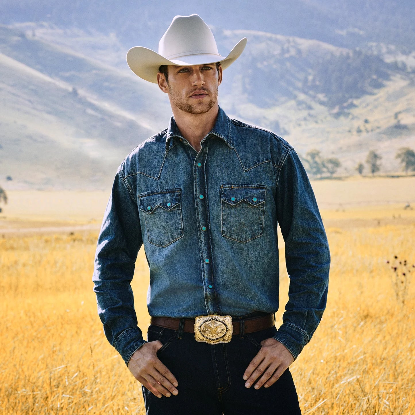 Stetson Skyline Cowboy Hat