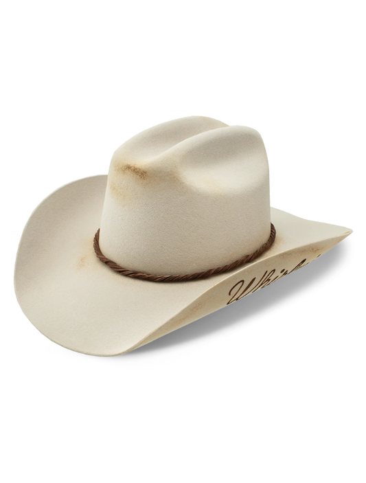 Charlie 1 Horse Whirlwind Western House