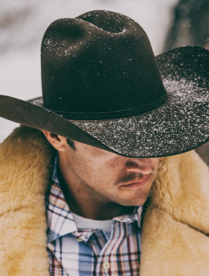 Resistol 40X Arena Cowboy Hat