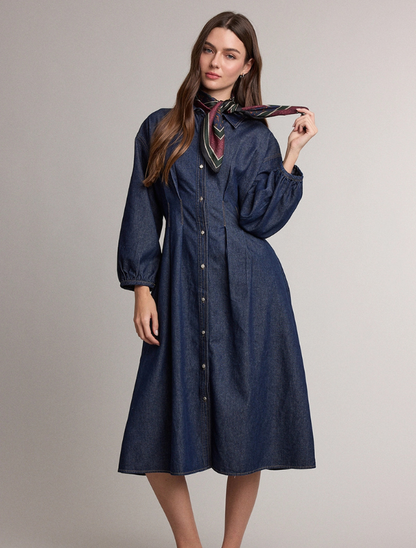 Raisonnel Denim Smocked Waist Shirt Dress