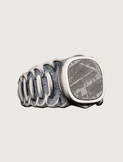 William Henry Sterling Silver Men's Echelon Meteorite Ring