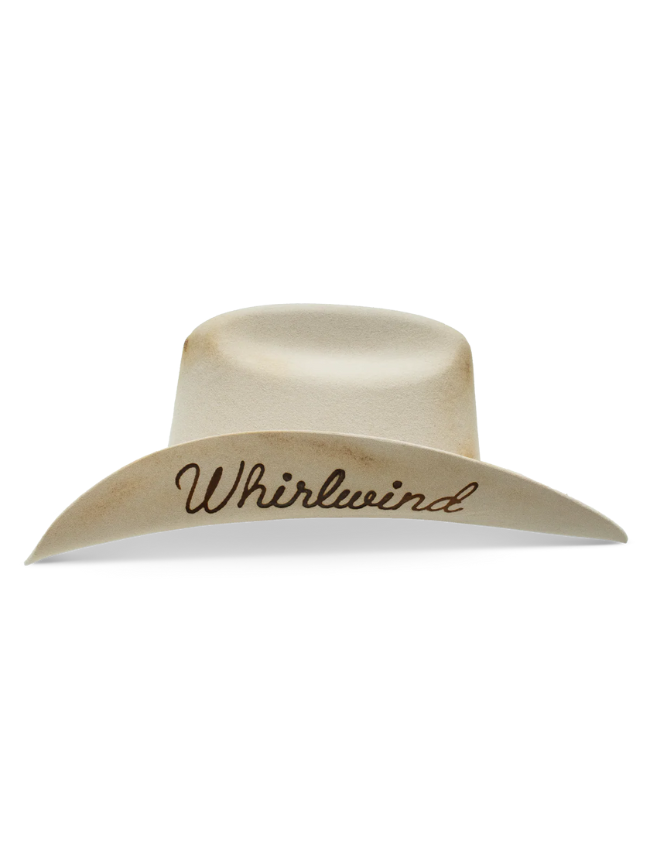 Charlie 1 Horse Whirlwind Western House