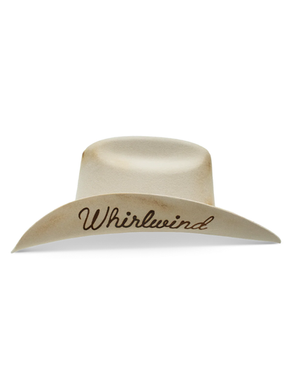 Charlie 1 Horse Whirlwind Western House