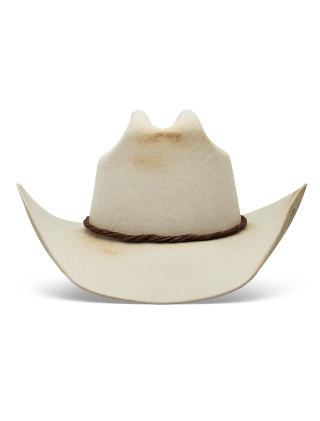 Charlie 1 Horse Whirlwind Western House