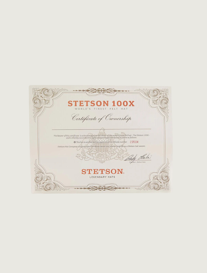 Stetson 100X El Presidente Cowboy Hat