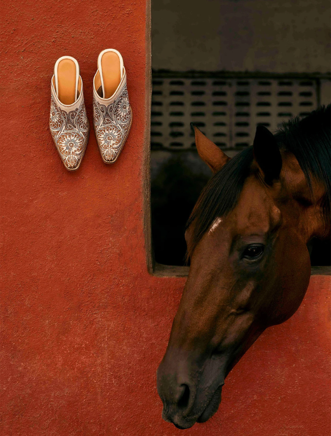 Horse looking out from a stable window next to a pair of beige mules with a white paisley pattern on a red wall.