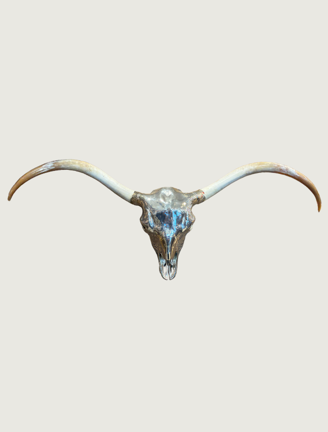 Silver and bone longhorn skull wall mount, front view, with a mirror silver-finished face and long natural horns